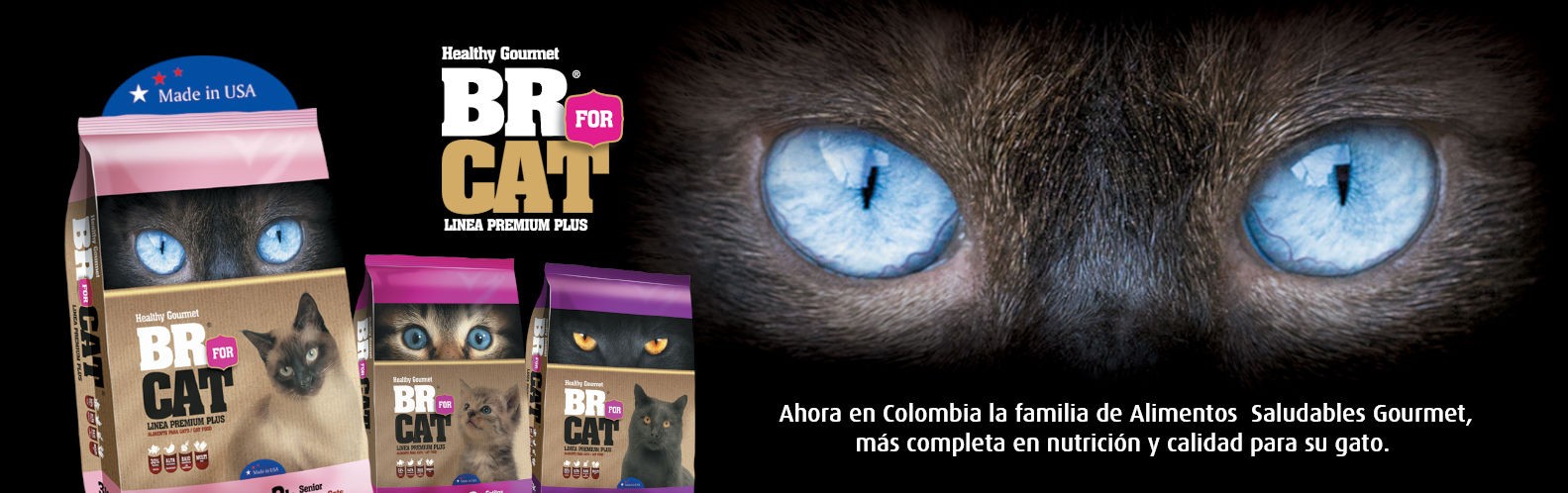 3. Banner-BR-FOR-CAT