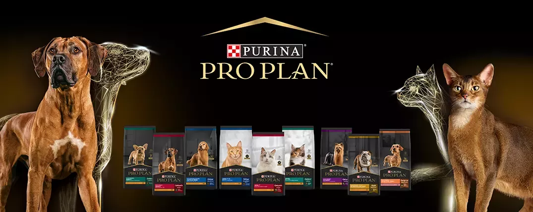 4. Banner Pro Plan.jpg