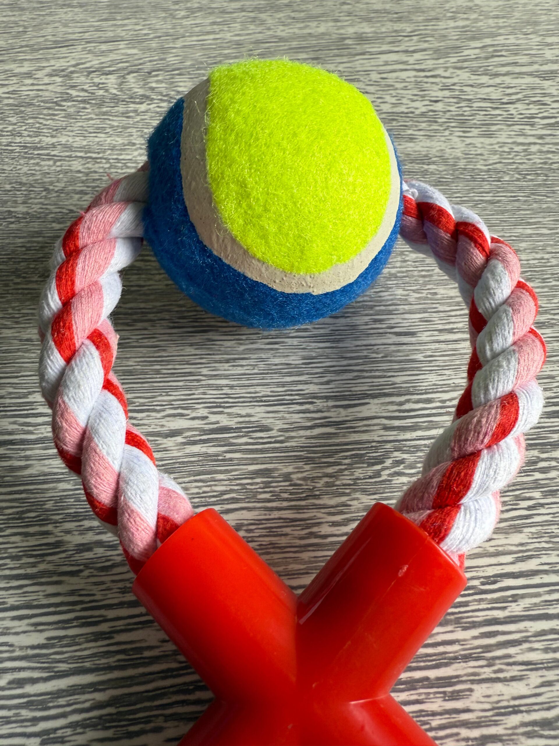 Lazo Con Pelota - 8 - Imagen 2